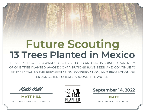 Certificate for planting 13 trees in Mexico