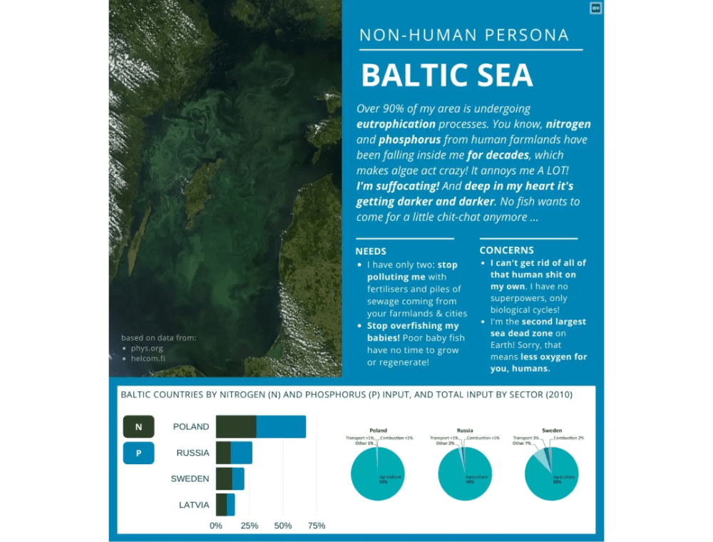 Baltic Sea Non-human Persona