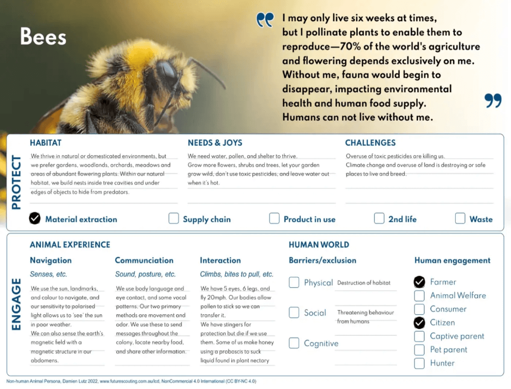 Bees Non-human Persona