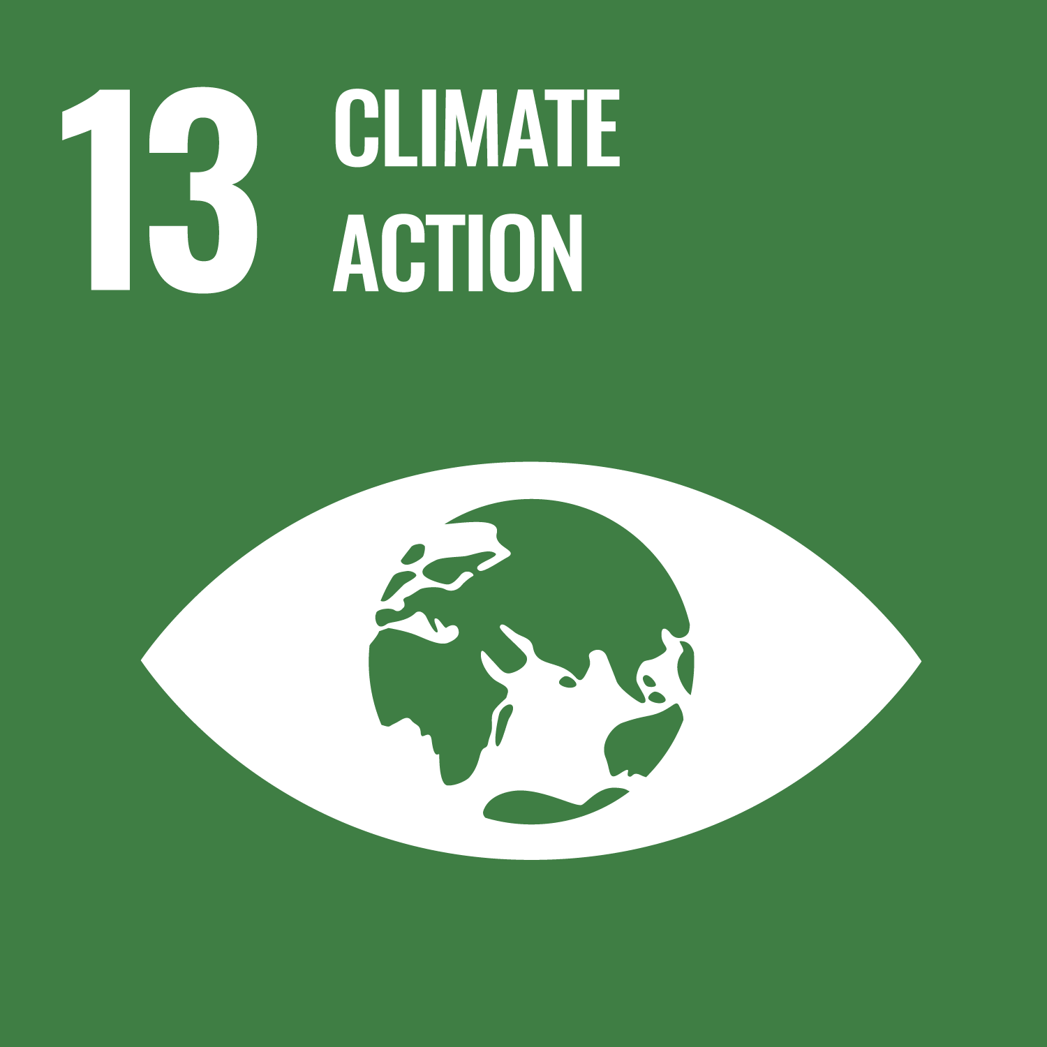 SDG #13 Climate Action