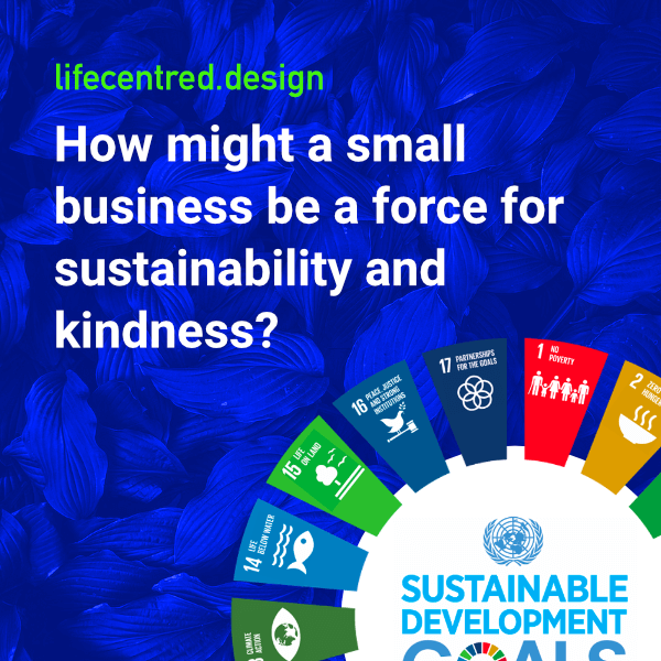 How might a small business be a force for sustainability and kindness?